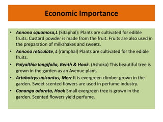 Economic Importance
• Annona squamosa,L (Sitaphal): Plants are cultivated for edible
fruits. Custard powder is made from the fruit. Fruits are also used in
the preparation of milkshakes and sweets.
• Annona reticulate, L (ramphal) Plants are cultivated for the edible
fruits.
• Polyalthia longifolia, Benth & Hook. (Ashoka) This beautiful tree is
grown in the garden as an Avenue plant.
• Artabotrys unicantus, Merr It is evergreen climber grown in the
garden. Sweet scented flowers are used in perfume industry.
• Cananga odorata, Hook Small evergreen tree is grown in the
garden. Scented flowers yield perfume.
 