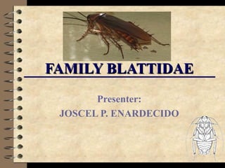 FAMILY BLATTIDAE
Presenter:
JOSCEL P. ENARDECIDO

 