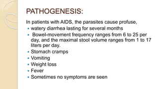 PATHOGENESIS:
In patients with AIDS, the parasites cause profuse,
 watery diarrhea lasting for several months
 Bowel-movement frequency ranges from 6 to 25 per
day, and the maximal stool volume ranges from 1 to 17
liters per day.
 Stomach cramps
 Vomiting
 Weight loss
 Fever
 Sometimes no symptoms are seen
 