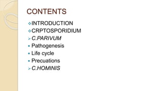 CONTENTS
INTRODUCTION
CRPTOSPORIDIUM
C.PARIVUM
 Pathogenesis
 Life cycle
 Precuations
C.HOMINIS
 