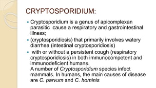CRYPTOSPORIDIUM:
 Cryptosporidium is a genus of apicomplexan
parasitic cause a respiratory and gastrointestinal
illness;
 (cryptosporidiosis) that primarily involves watery
diarrhea (intestinal cryptosporidiosis)
 with or without a persistent cough (respiratory
cryptosporidiosis) in both immunocompetent and
immunodeficient humans.
A number of Cryptosporidium species infect
mammals. In humans, the main causes of disease
are C. parvum and C. hominis
 
