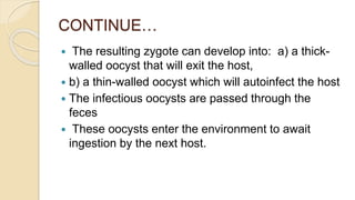 CONTINUE…
 The resulting zygote can develop into: a) a thick-
walled oocyst that will exit the host,
 b) a thin-walled oocyst which will autoinfect the host
 The infectious oocysts are passed through the
feces
 These oocysts enter the environment to await
ingestion by the next host.
 