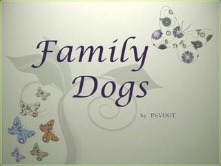Family
  Dogs
     by PSVOGT
 