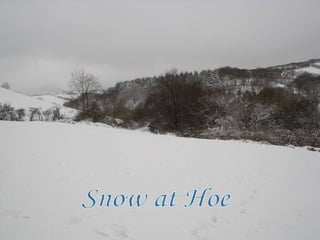 Snow at Hoe 