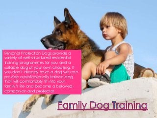 Personal Protection Dogs provide a
variety of well-structured residential
training programmes for you and a
suitable dog of your own choosing. If
you don’t already have a dog we can
provide a professionally trained dog
that will comfortably fit into your
family’s life and become a beloved
companion and protector.
 