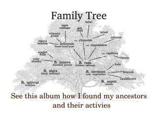 Family Tree
See this album how I found my ancestors 
and their activies
 
