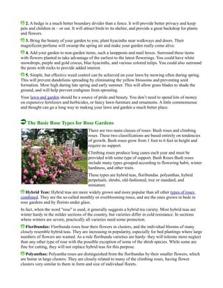 2. A hedge is a much better boundary divider than a fence. It will provide better privacy and keep
pets and children in – or out. It will attract birds to its shelter, and provide a great backdrop for plants
and flowers.
3. Bring the beauty of your garden to you; plant hyacinths near walkways and doors. Their
magnificent perfume will swamp the spring air and make your garden really come alive.
4. Add your garden to non-garden items, such a lampposts and mail boxes. Surround these items
with flowers planted to take advantage of the earliest to the latest flowerings. You could have white
snowdrops, purple and gold crocus, blue hyacinths, and various colored tulips. You could also surround
the posts with rocks to provide added interest.
5. Simple, but effective weed control can be achieved on your lawn by mowing often during spring.
This will prevent dandelions spreading by eliminating the yellow blossoms and preventing seed
formation. Mow high during late spring and early summer. This will allow grass blades to shade the
ground, and will help prevent crabgrass from sprouting.
Your lawn and garden should be a source of pride and beauty. You don’t need to spend lots of money
on expensive fertilizers and herbicides, or fancy lawn furniture and ornaments. A little commonsense
and thought can go a long way to making your lawn and garden a much better place.
The Basic Rose Types for Rose Gardens
There are two main classes of roses: Bush roses and climbing
roses. These two classifications are based entirely on tendencies
of growth. Bush roses grow from 1 foot to 6 feet in height and
require no support.
Climbing roses produce long canes each year and must be
provided with some type of support. Bush Roses Bush roses
include many types grouped according to flowering habit, winter
hardiness, and other traits.
These types are hybrid teas, floribundas. polyanthas, hybrid
perpetuals, shrubs, old-fashioned, tree or standard, and
miniature.
Hybrid Teas: Hybrid teas are more widely grown and more popular than all other types of roses
combined. They are the so-called monthly or everblooming roses, and are the ones grown in beds in
rose gardens and by florists under glass.
In fact, when the word "rose" is used, it generally suggests a hybrid tea variety. Most hybrid teas are
winter hardy in the milder sections of the country, but varieties differ in cold resistance. In sections
where winters are severe, practically all varieties need some protection.
Floribundas: Floribunda roses bear their flowers in clusters, and the individual blooms of many
closely resemble hybrid teas. They are increasing in popularity, especially for bed plantings where large
numbers of flowers are wanted. As a rule floribunda varieties are hardy: they will tolerate more neglect
than any other type of rose with the possible exception of some of the shrub species. While some are
fine for cutting, they will not replace hybrid teas for this purpose.
Polyanthas: Polyantha roses are distinguished from the floribundas by their smaller flowers, which
are borne in large clusters. They are closely related to many of the climbing roses, having flower
clusters very similar to them in form and size of individual florets.
 