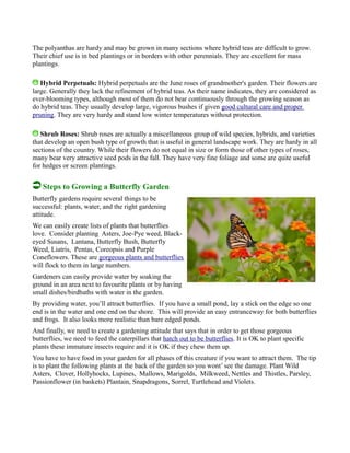 The polyanthas are hardy and may be grown in many sections where hybrid teas are difficult to grow.
Their chief use is in bed plantings or in borders with other perennials. They are excellent for mass
plantings.
Hybrid Perpetuals: Hybrid perpetuals are the June roses of grandmother's garden. Their flowers are
large. Generally they lack the refinement of hybrid teas. As their name indicates, they are considered as
ever-blooming types, although most of them do not bear continuously through the growing season as
do hybrid teas. They usually develop large, vigorous bushes if given good cultural care and proper
pruning. They are very hardy and stand low winter temperatures without protection.
Shrub Roses: Shrub roses are actually a miscellaneous group of wild species, hybrids, and varieties
that develop an open bush type of growth that is useful in general landscape work. They are hardy in all
sections of the country. While their flowers do not equal in size or form those of other types of roses,
many bear very attractive seed pods in the fall. They have very fine foliage and some are quite useful
for hedges or screen plantings.
Steps to Growing a Butterfly Garden
Butterfly gardens require several things to be
successful: plants, water, and the right gardening
attitude.
We can easily create lists of plants that butterflies
love. Consider planting Asters, Joe-Pye weed, Black-
eyed Susans, Lantana, Butterfly Bush, Butterfly
Weed, Liatris, Pentas, Coreopsis and Purple
Coneflowers. These are gorgeous plants and butterflies
will flock to them in large numbers.
Gardeners can easily provide water by soaking the
ground in an area next to favourite plants or by having
small dishes/birdbaths with water in the garden.
By providing water, you’ll attract butterflies. If you have a small pond, lay a stick on the edge so one
end is in the water and one end on the shore. This will provide an easy entranceway for both butterflies
and frogs. It also looks more realistic than bare edged ponds.
And finally, we need to create a gardening attitude that says that in order to get those gorgeous
butterflies, we need to feed the caterpillars that hatch out to be butterflies. It is OK to plant specific
plants these immature insects require and it is OK if they chew them up.
You have to have food in your garden for all phases of this creature if you want to attract them. The tip
is to plant the following plants at the back of the garden so you wont’ see the damage. Plant Wild
Asters, Clover, Hollyhocks, Lupines, Mallows, Marigolds, Milkweed, Nettles and Thistles, Parsley,
Passionflower (in baskets) Plantain, Snapdragons, Sorrel, Turtlehead and Violets.
 