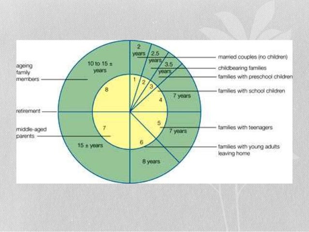 family life cycle