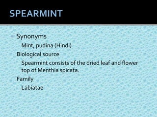 Family labiatea | PPTX
