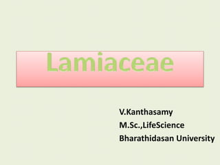 V.Kanthasamy
M.Sc.,LifeScience
Bharathidasan University
 