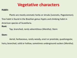 Vegetative characters
Habit:
Plants are mostly aromatic herbs or shrubs (Leonotis, Pogostemon).
Tree habit is found in the Brazilian genus Hyptis and climbing habit in
American species of Scutellaria.
Root:
Tap, branched, rarely adventitious (Mentha). Stem:
Stem:
Aerial, herbaceous, rarely woody, erect or prostrate, quadrangular,
hairy, branched, solid or hollow, sometimes underground suckers (Mentha).
 