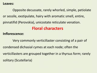 Leaves:
Opposite decussate, rarely whorled, simple, petiolate
or sessile, exstipulate, hairy with aromatic smell, entire,
pinnatifid (Perovskia), unicostate reticulate venation.
Floral characters
Inflorescence:
Very commonly verticillaster consisting of a pair of
condensed dichasial cymes at each node; often the
verticillasters are grouped together in a thyrsus form; rarely
solitary (Scutellaria)
 