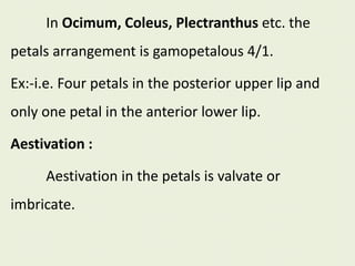 In Ocimum, Coleus, Plectranthus etc. the
petals arrangement is gamopetalous 4/1.
Ex:-i.e. Four petals in the posterior upper lip and
only one petal in the anterior lower lip.
Aestivation :
Aestivation in the petals is valvate or
imbricate.
 