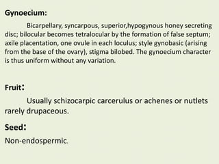 Gynoecium:
Bicarpellary, syncarpous, superior,hypogynous honey secreting
disc; bilocular becomes tetralocular by the formation of false septum;
axile placentation, one ovule in each loculus; style gynobasic (arising
from the base of the ovary), stigma bilobed. The gynoecium character
is thus uniform without any variation.
Fruit:
Usually schizocarpic carcerulus or achenes or nutlets
rarely drupaceous.
Seed:
Non-endospermic.
 