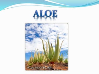 skin bliss aloe vera cream Aloe-vera Facial Gel  BeautyFred