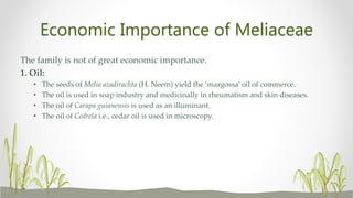 Economic Importance of Meliaceae
The family is not of great economic importance.
1. Oil:
• The seeds of Melia azadirachta (H. Neem) yield the ‘margossa’ oil of commerce.
• The oil is used in soap industry and medicinally in rheumatism and skin diseases.
• The oil of Carapa guianensis is used as an illuminant.
• The oil of Cedrela i.e., cedar oil is used in microscopy.
 