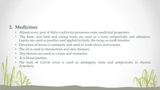 2. Medicines
• Almost every part of Melia azadirachta possesses some medicinal properties.
• The bark, root bark and young fruits are used as a tonic antiperiodic and alterative.
Leaves are used as poultice and applied to boils, the twigs as tooth brushes.
• Decoction of leaves is antiseptic and used to wash ulcers and eczema.
• The oil is used in rheumatism and skin diseases.
• Dry flowers are used as a tonic and stomachic.
• It is blood purifier.
• The bark of Cedrela tonna is used as astringent, tonic and antiperiodic in chronic
dysentery.
 
