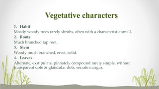 Vegetative characters
1. Habit
Mostly woody trees rarely shrubs, often with a characteristic smell.
2. Roots
Much branched tap root.
3. Stem
Woody much branched, erect, solid.
4. Leaves
Alternate, exstipulate, pinnately compound rarely simple, without
transparent dots or glandular dots, serrate margin.
 