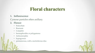 Floral characters
1. Inflorescence
Cymose panicles often axillary.
2. Flower
• Pedicellate
• Bracteate
• Complete
• hermaphrodite or polygamous
• Actinomorphic
• hypogynous
• pentamerous, with a necticiferous disc.
 