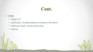 Cont.
3. Calyx
• Sepals 4-5
• small poly- or gamoseplaous (connate at the base)
• imbricate rarely valvate aestivation
• inferior
 