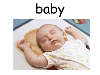 baby
 
