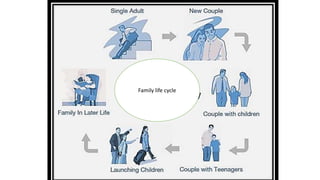 Family life cycle
 