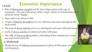 Economic Importance
1.Food:
 Pith of Metroxylon rumphii and M. leave (Sago palm) yield sago of
commerce. .The sap of Borassus yields a sugar, which on fermentation gives
alcoholic drink “Toddy”.
 Sago used as an article of diet.
 Fruits of Phoenix dactylifera are very delicious and eaten throughout the
Arab world.
 The nuts of Areca catechu serve as a asteringent and used with betel leaves.
 seeds of Areca catechu are sliced and eaten with paan.
 The milk of Cocos nucifera makes a refreshing drink, endosperm is eaten
raw and stored when dry.
2. Medicinal:
 Tender leaves of Calamus travancoricus are given in bilousness, worms
and dyspepsia.
 