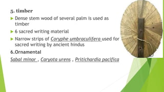 5. timber
 Dense stem wood of several palm is used as
timber
 6 sacred writing material
 Narrow strips of Coryphe umbraculifera used for
sacred writing by ancient hindus
6.Ornamental
Sabal minor , Caryota urens , Pritichardia pacifica
 