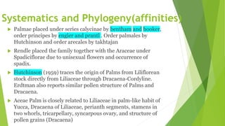 Systematics and Phylogeny(affinities)
 Palmae placed under series calycinae by bentham and hooker,
order principes by engler and prantl . Order palmales by
Hutchinson and order arecales by takhtajan
 Rendle placed the family together with the Araceae under
Spadiciflorae due to unisexual flowers and occurrence of
spadix.
 Hutchinson (1959) traces the origin of Palms from Liliflorean
stock directly from Liliaceae through Dracaena-Cordyline.
Erdtman also reports similar pollen structure of Palms and
Dracaena.
 Aceae Palm is closely related to Liliaceae in palm-like habit of
Yucca, Dracaena of Liliaceae, perianth segments, stamens in
two whorls, tricarpellary, syncarpous ovary, and structure of
pollen grains (Dracaena)
 
