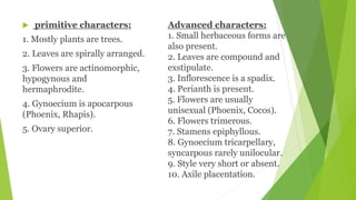 Advanced characters:
1. Small herbaceous forms are
also present.
2. Leaves are compound and
exstipulate.
3. Inflorescence is a spadix.
4. Perianth is present.
5. Flowers are usually
unisexual (Phoenix, Cocos).
6. Flowers trimerous.
7. Stamens epiphyllous.
8. Gynoecium tricarpellary,
syncarpous rarely unilocular.
9. Style very short or absent.
10. Axile placentation.
 primitive characters:
1. Mostly plants are trees.
2. Leaves are spirally arranged.
3. Flowers are actinomorphic,
hypogynous and
hermaphrodite.
4. Gynoecium is apocarpous
(Phoenix, Rhapis).
5. Ovary superior.
 