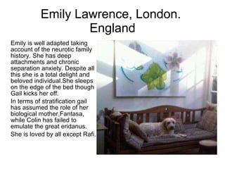 Emily Lawrence, London.  England Emily is well adapted taking account of the neurotic family history. She has deep attachments and chronic separation anxiety. Despite all this she is a total delight and beloved individual.She sleeps on the edge of the bed though Gail kicks her off.  In terms of stratification gail has assumed the role of her biological mother,Fantasa, while Colin has failed to emulate the great eridanus.  She is loved by all except Rafi.  