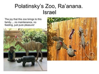 Polatinsky’s Zoo, Ra’anana.  Israel The joy that this zoo brings to this family.... no maintenance, no feeding, just pure pleasure! 