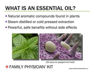 WHAT IS AN ESSENTIAL OIL? ©2009 dōTERRA INTERNATIONAL,LLC Natural aromatic compounds found in plants Steam distilled or cold pressed extraction Powerful, safe benefits without side effects + (Oil sacs on peppermint leaf) FAMILY PHYSICIAN ™   KIT 