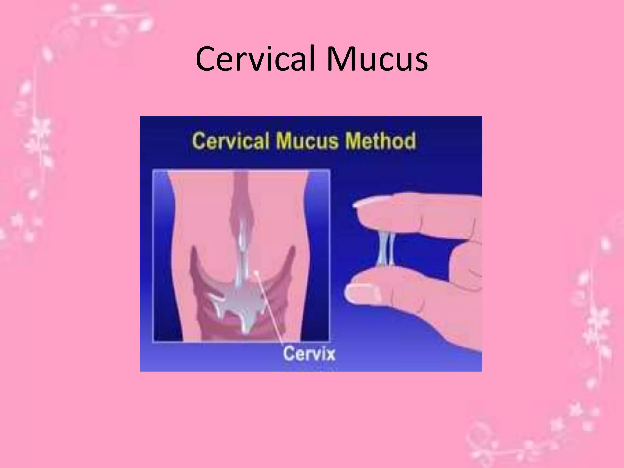 Cervical Mucus