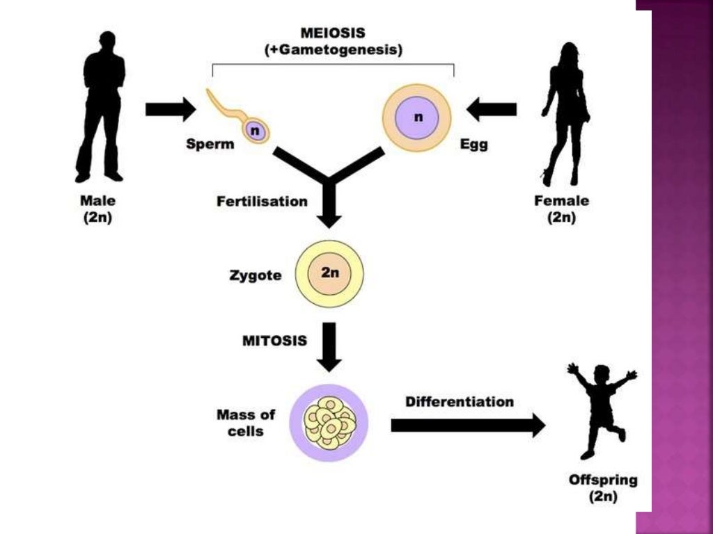 Family planning methods
