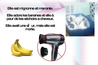 Elle est mignonne et marrante. Elle adore les bananes et elle  à peur de les séchoirs a cheveux. Elle avait une sœur, mais elle est morte. 