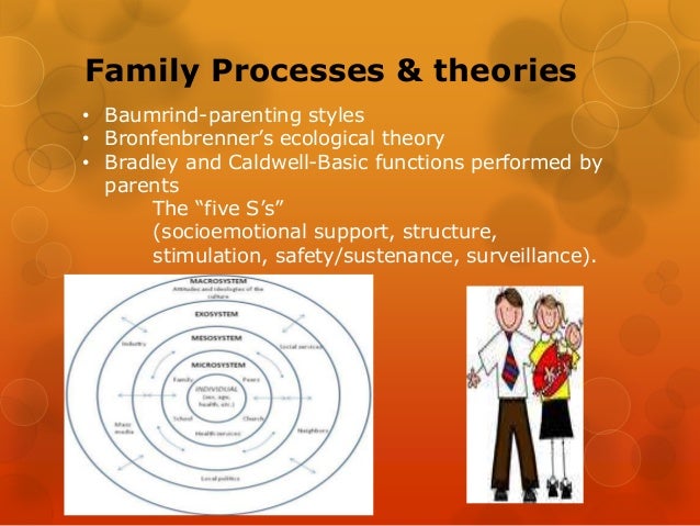 Family processes