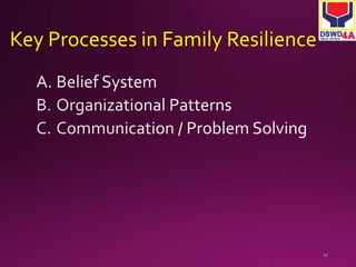Key Processes in Family Resilience 
 