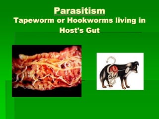 Parasitism
Tapeworm or Hookworms living in
Host's Gut
 