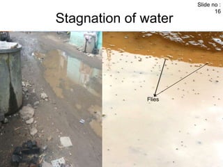 Stagnation of water 
Flies 
Slide no : 
16 
 