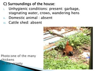 C) Surroundings of the house:
i. Unhygienic conditions: present: garbage,
stagnating water, crows, wandering hens
ii. Domestic animal : absent
iii. Cattle shed: absent
 