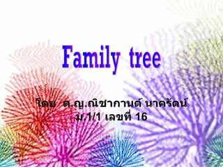 โดย  ด . ญ . ณิชากานต์ นาครัตน์ ม .1/1  เลขที่  16 Family  tree 