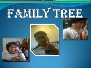 Family tree 