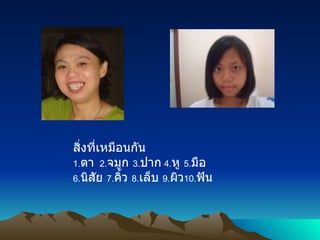 สิ่งที่เหมือนกัน 1. ตา   2. จมูก  3. ปาก   4. หู  5. มือ 6. นิสัย   7. คิ้ว   8. เล็บ   9. ผิว 10. ฟัน 