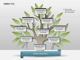family name here FAMILY  TREE text here. this is an example. text here. this is an example. text here. this is an example. text here. this is an example. text here. this is an example. text here. this is an example. text here. this is an example. text here. this is an example. text here. this is an example. Text example, place your text here this is an example. > 