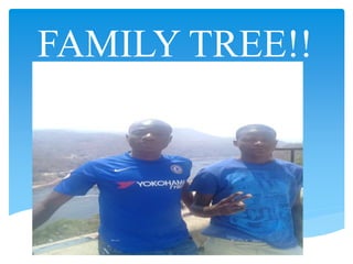 FAMILY TREE!!
 