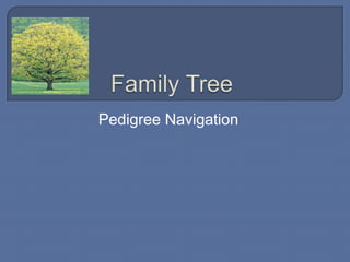 Pedigree Navigation
 