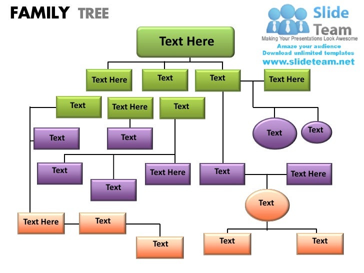Powerpoint Genealogy Template