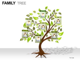 FAMILY TREE
                                         TEXT




                                                            TEXT
                 TEXT HERE


                                         TEXT




          TEXT
                                                TEXT HERE


                             TEXT HERE




                                                                   Your Logo
 